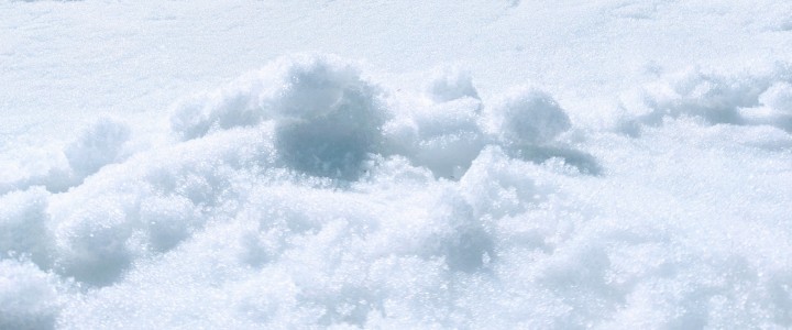 「魅力を伝えるには」に掲載している画像