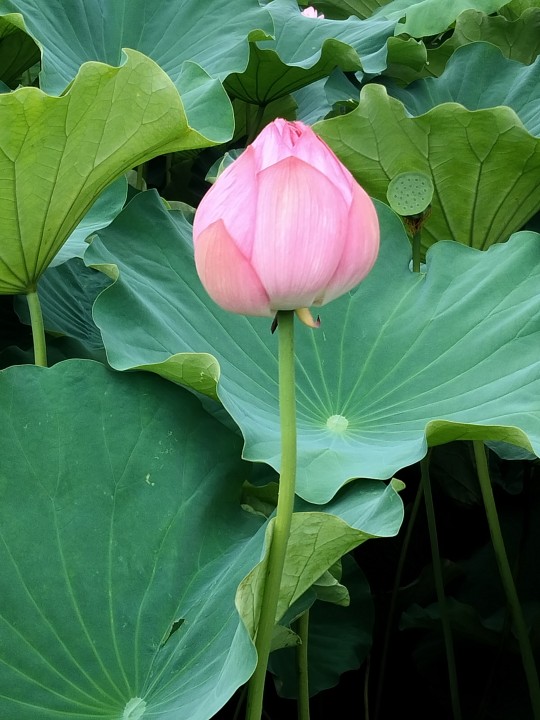 「熱意と意気込みを感じました」に掲載している画像
