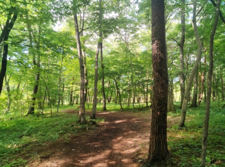 「貴子画報 初夏号発刊」に掲載している画像