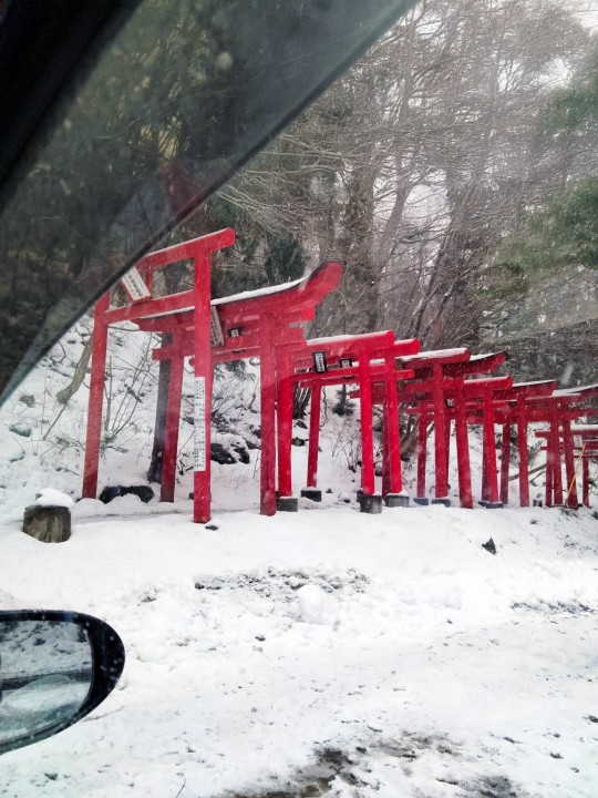 「雪の日の静寂と、台所の気配」に掲載している画像
