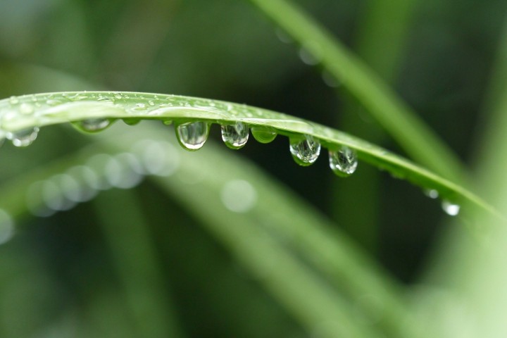 「静かな雨の日に整う、仕事のリズム」に掲載している画像
