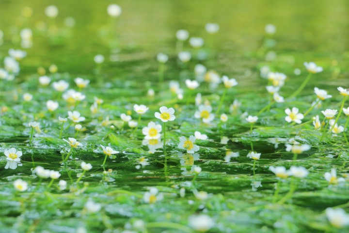 「あたたかな交流」に掲載している画像