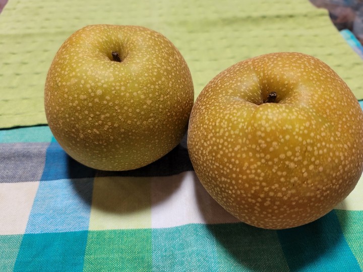 「いつの間にか梨の季節」に掲載している画像